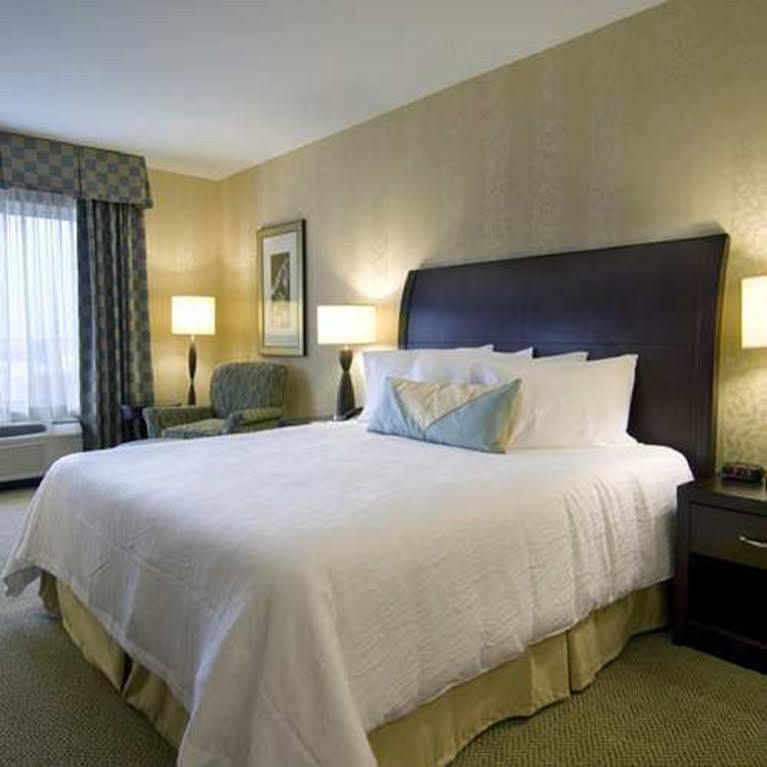 Hilton Garden Inn Detroit/Novi Exterior foto